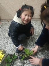 QQ图片20210322172233